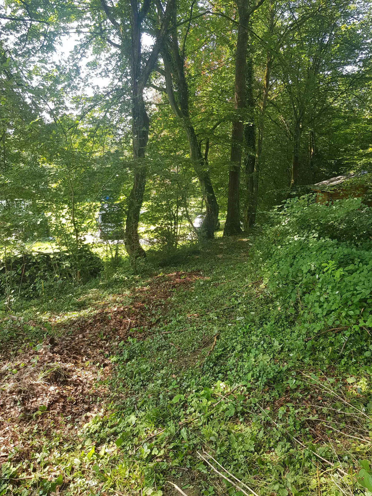 Cottage for 4 people in Erezée Au Chalet de Mélines